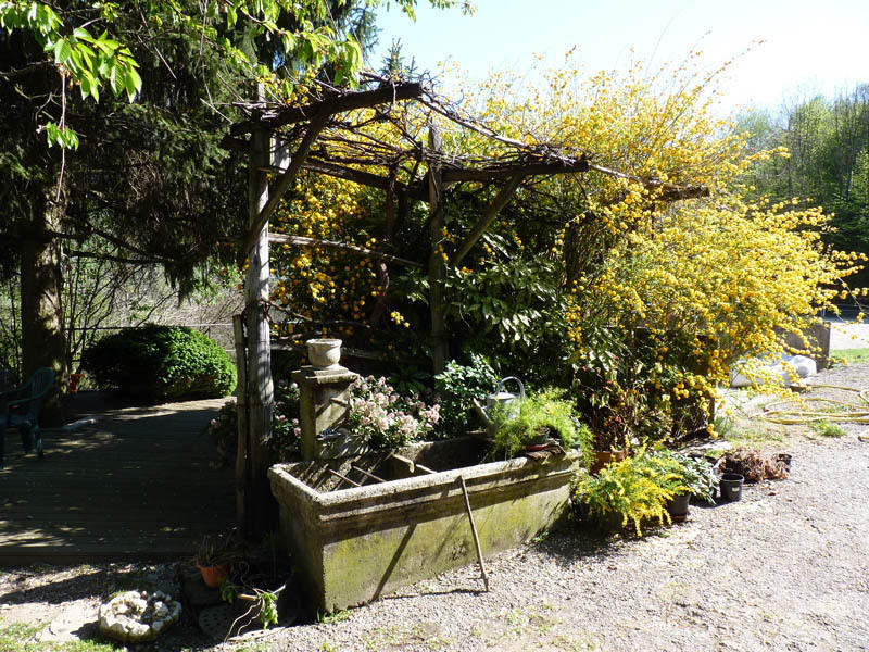 Domaine De La Safraniere - Chambre D'Hote Saint-Léger Dış mekan fotoğraf