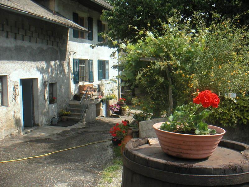 Domaine De La Safraniere - Chambre D'Hote Saint-Léger Dış mekan fotoğraf
