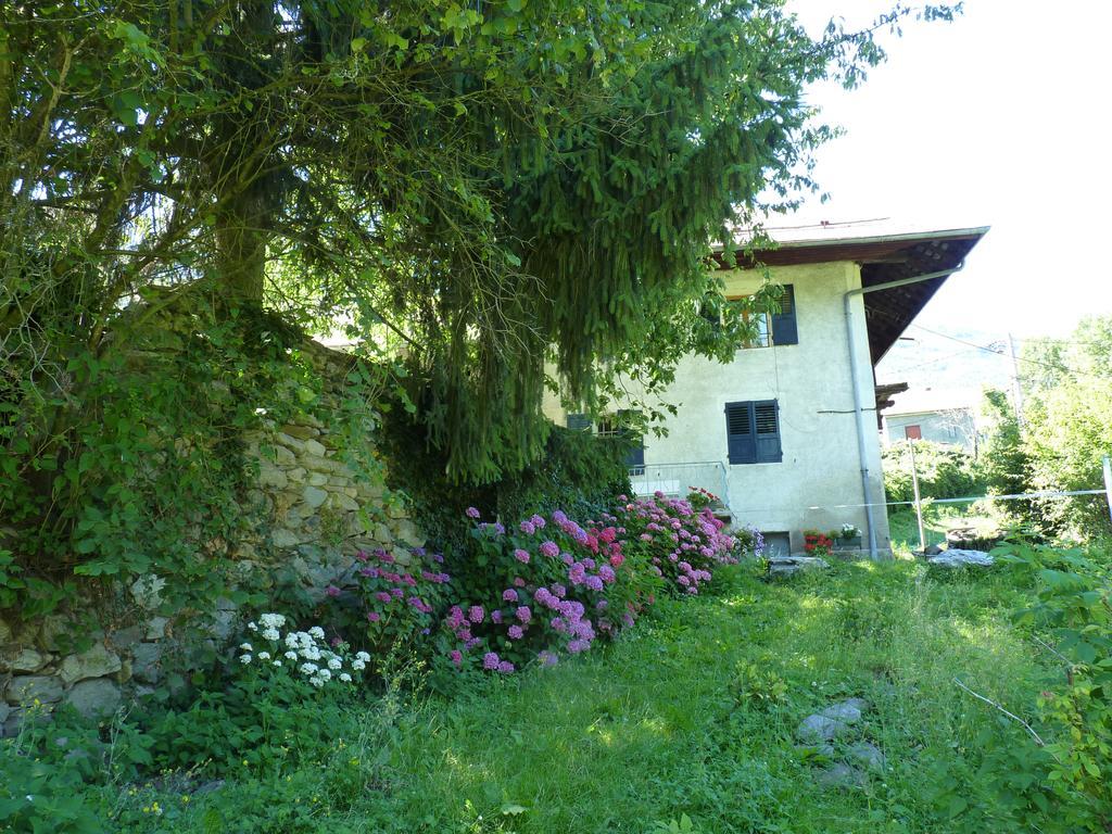 Domaine De La Safraniere - Chambre D'Hote Saint-Léger Dış mekan fotoğraf