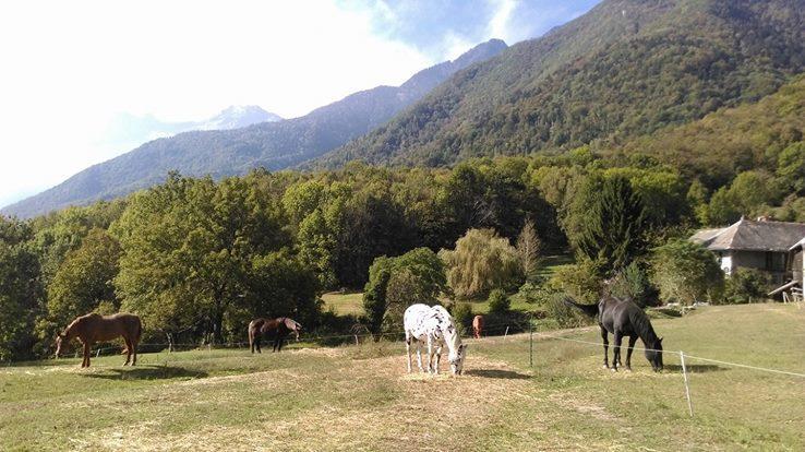 Domaine De La Safraniere - Chambre D'Hote Saint-Léger Dış mekan fotoğraf