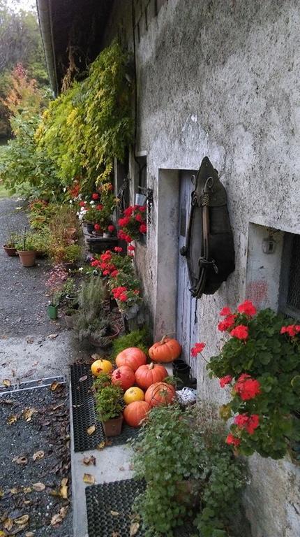 Domaine De La Safraniere - Chambre D'Hote Saint-Léger Dış mekan fotoğraf